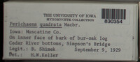 Image Associated With the Occurence